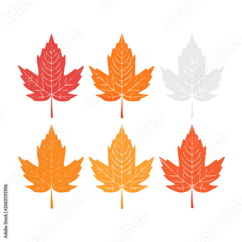 Vector maple leaf icons set autumn design