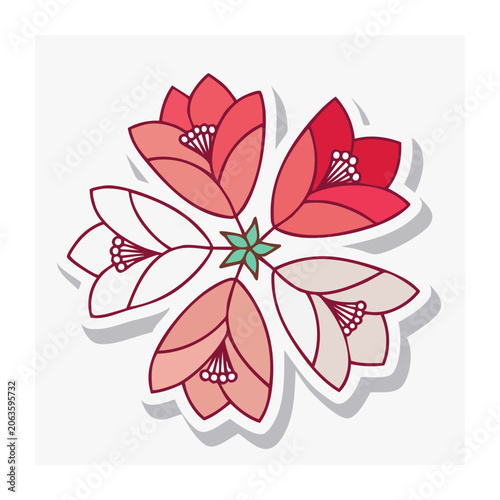 Symmetrical Red and Pink Flower Illustration