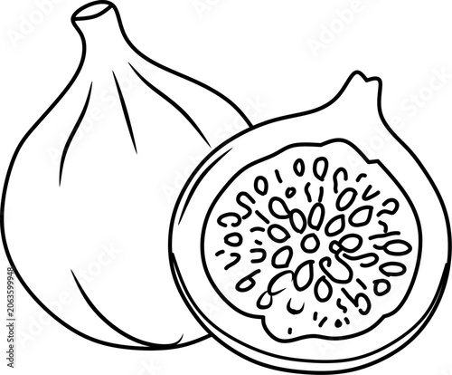 Simple fig fruit line art vector illustration featuring whole and cut fig. Perfect for coloring books, educational materials, healthy food themes, and printable projects.