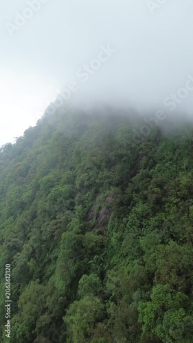 misty morning in the mountains