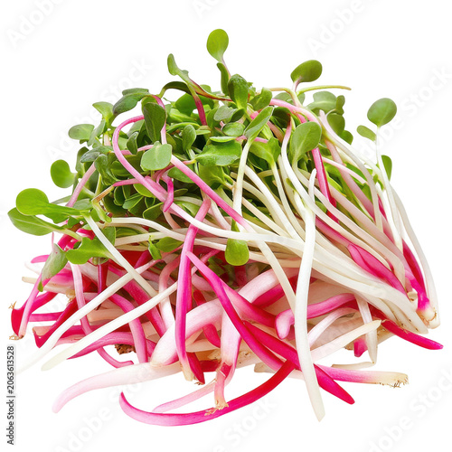 Vibrant pink and green radish and sunflower sprouts isolated on white background