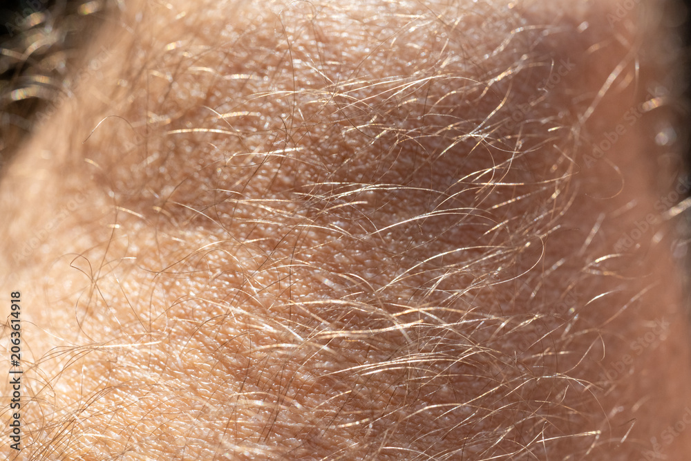 Fototapeta premium Detailed macro shot of human facial hair on sun-kissed skin