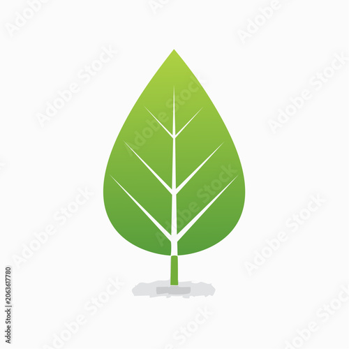 Green leaf icon with veins and stem