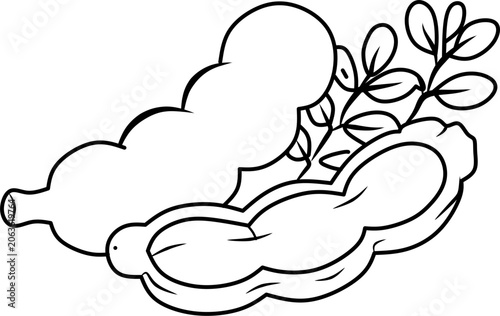 Simple tamarind fruit line art vector illustration featuring whole and peeled tamarind pods. Perfect for coloring books, educational materials, tropical fruit themes, and printable projects.