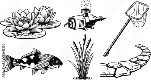 Valokuva Set of garden pond elements and aquatic life featuring water lilies koi fish and
