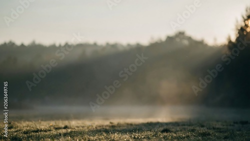 Misty morning landscape with foggy field and trees in the background at sunrise