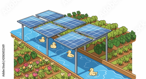 Solar panels over water with ducks and plants.