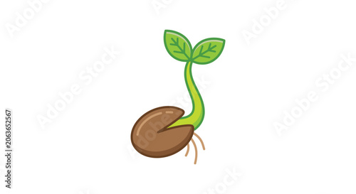 Sprouting seed with green leaves colorful vector illustration on white background