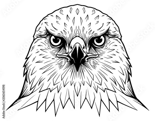 Detailed hawk portrait vector illustration, powerful eagle head line art mascot, front view of fierce predatory bird face isolated on white background.