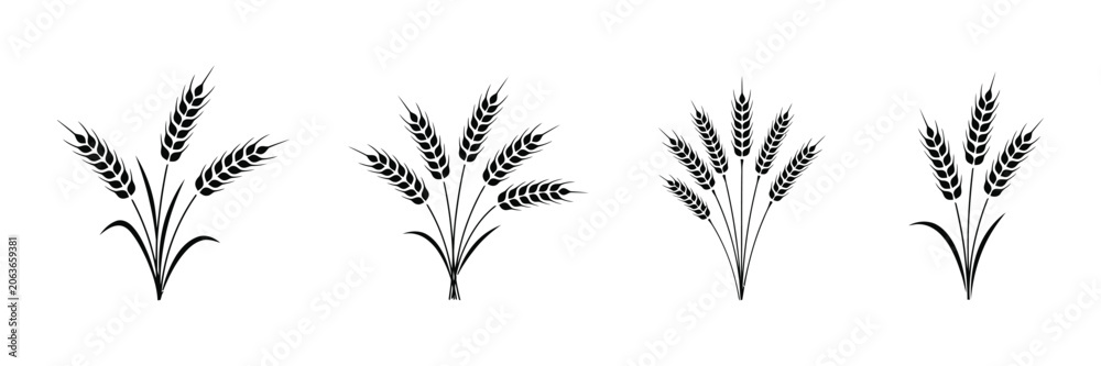 Fototapeta premium Wheat Icon, Black Wheat Ear Silhouettes for Agriculture Logos, Organic Product Labels, Farm Branding, Harvest Themes, and Rural Vector Design