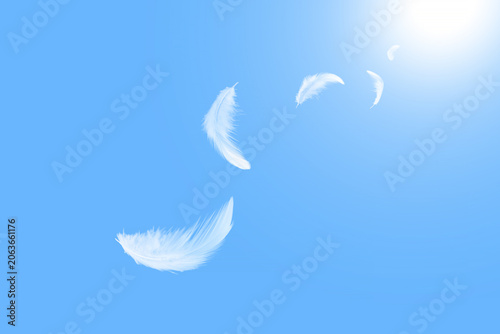 Soft white feathers floating on a blue sky. fluffy downy. symbol of freedom and peace. white clouds and blue sky background. top blue sky heavenly	
