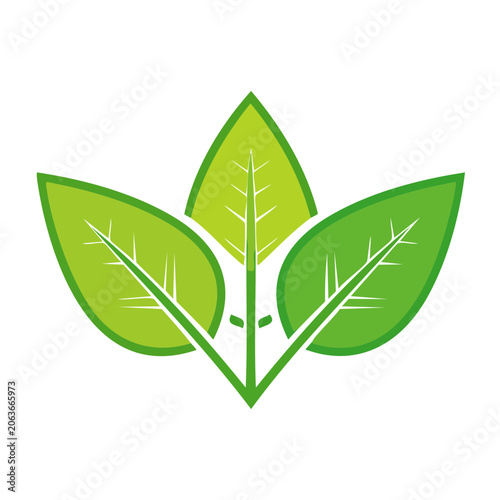 Maple leaf flat design vector