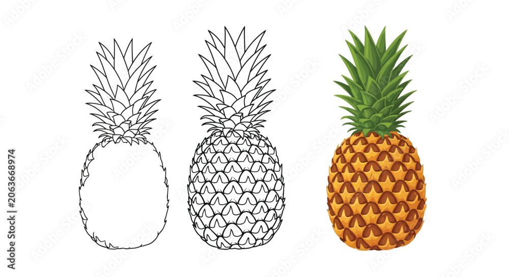 Obraz premium Three pineapple illustrations showing line art sketches and a full color graphic design for creative projects