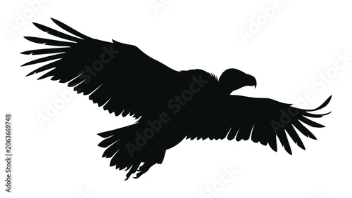 Bild auf Leinwand Vulture silhouette glides through the air with wings fully spread