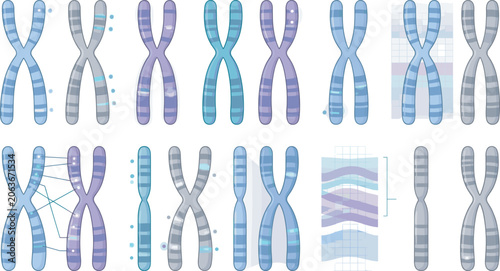 Canvastavla Human chromosome structures set with DNA sequences gene mutations genetic engine