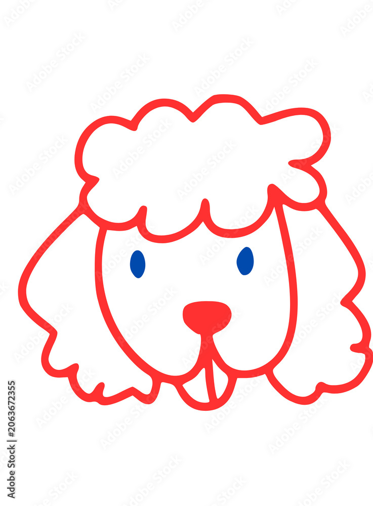 Fototapeta premium Red and Blue Color Poodle 