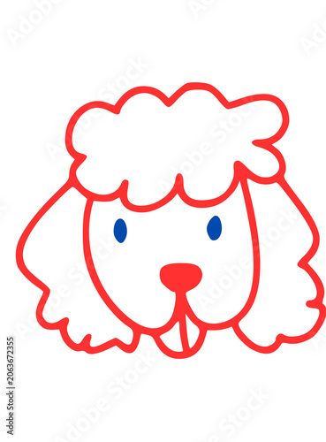 Red and Blue Color Poodle 