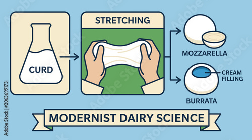 Obraz na plátně Mozzarella Burrata Stretched Curd Modernist Dairy Science