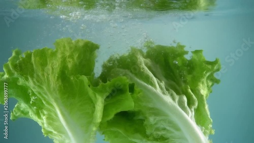 Fresh Lettuce Dropping Into Water.