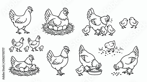 Tableau sur toile Hand drawn chicken and hen vector set, farm animal line art collection, mother h