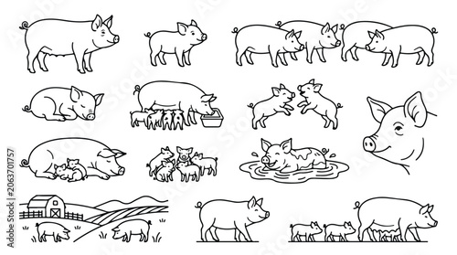 Obraz na płótnie Hand drawn pig vector illustrations, rustic farm animal line art set, cute pigs