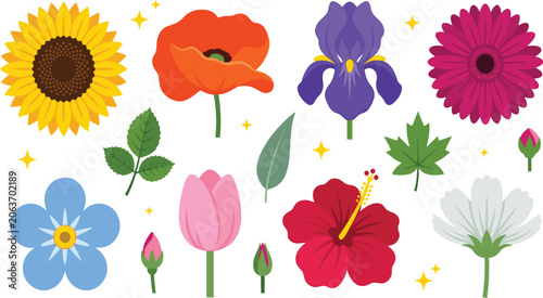 Spring Flowers Collection Flat Vector Illustration Set with Sunflower Poppy Iris Tulip Hibiscus Gerber Geranium and Leaf Clipart Elements