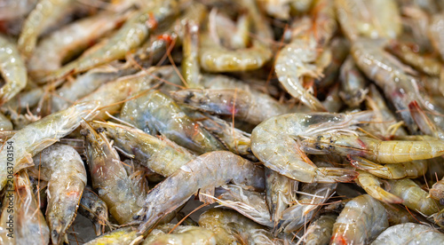 Bild auf Leinwand Fresh shrimp closeup