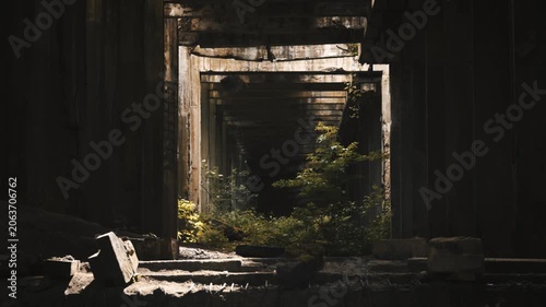 Abandoned Post Apocalyptic Industrial Ruins with Tree in Wind Dark Cinematic Atmosphere, 4K. Historical WWII Nazi synthetic fuel factory (Hydrierwerke Pölitz) in Police, Poland. Audio: wind and rain.