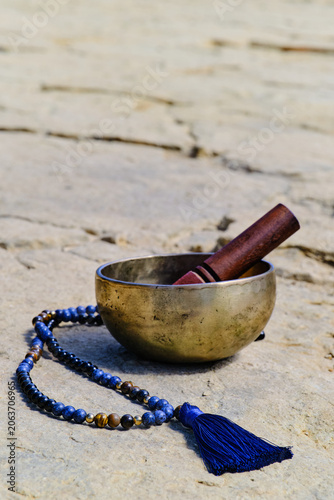 Tibetan singing bowl and dinosaur footprint in stone