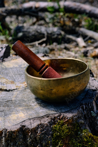 Tibetan singing bowl with rosary mala