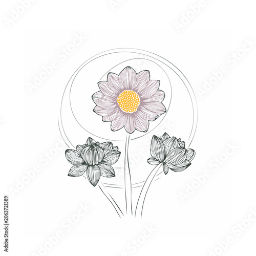Line art daisy flower vector illustration