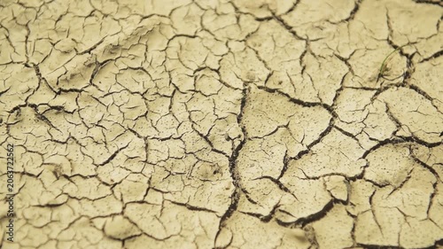 Dry cracked ground or mud soil with cracks and fissures during summer heat climate change environmental issue
