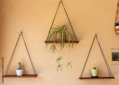 Hanging Spider Plant on Wooden Shelf Minimal Home Decor