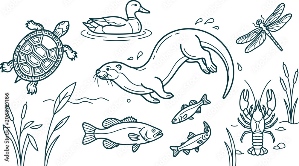 Fototapeta premium Pond and River Wildlife Line Art Vector Set Featuring Otter, Turtle, Duck, Fish, Lobster, and Dragonfly for Nature Conservation and Outdoor Education Designs
