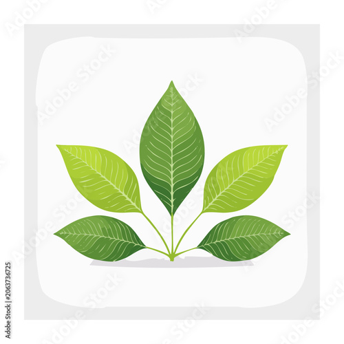 Flat design green leaf vector illustration