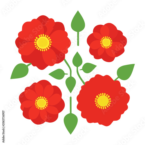 Red poppy flowers with green leaves vector