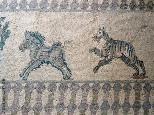 17.06.2025, Paphos, Cyprus: Ancient mosaic in the archaeological park