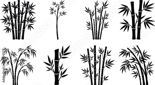 Bamboo Silhouette Collection with Tropical Stalks, Leaves, and Decorative Plant Forms
