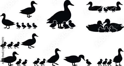 Tableau sur toile Duck Family Silhouette Collection with Adult Ducks and Ducklings in Nature