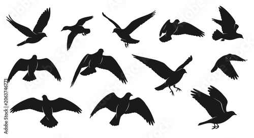 Black silhouettes of birds in various flying positions