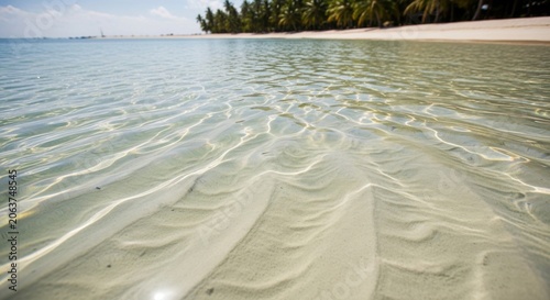 Sun-Dappled Shallow Ocean Water Over Sandy Seabed