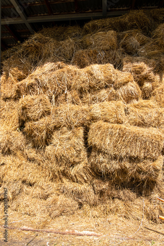 Bales of agricultural hay or straw stacked high for storage.