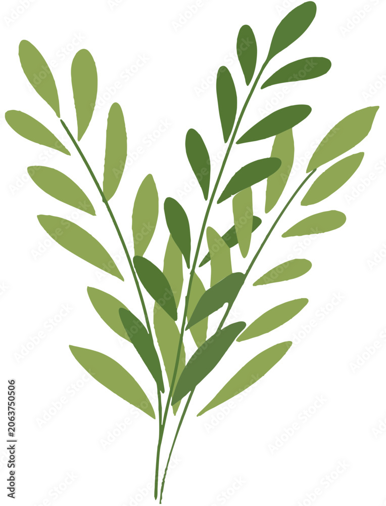 Fototapeta premium Decorative Green Foliage Branch Vector Illustration