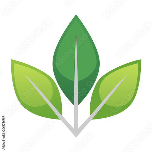 Flat design green and yellow leaf vector