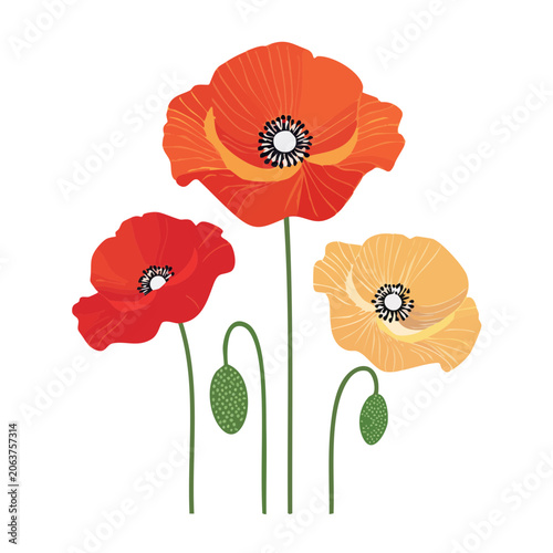 Three flat design tulips in red and yellow