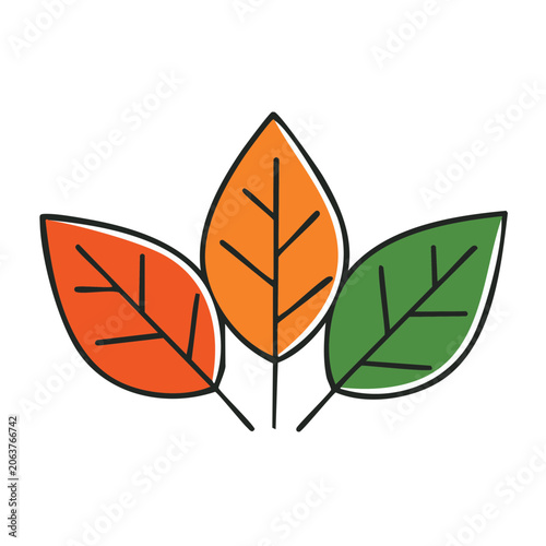 Maple leaf vector icon autumn design