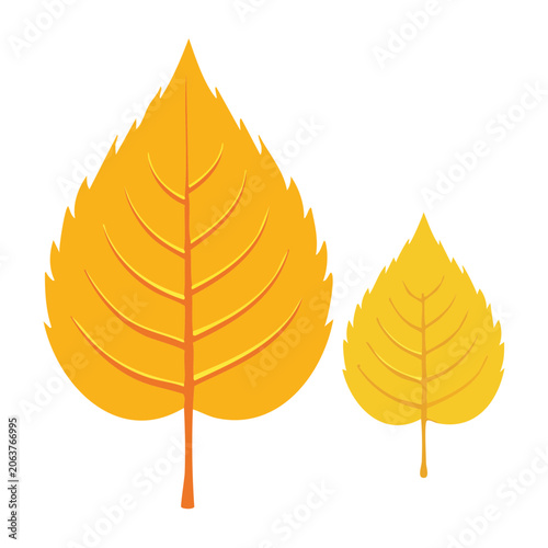 Yellow and orange maple leaves illustration