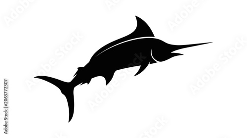 Fotografie Sailfish Swimming in Ocean Water.