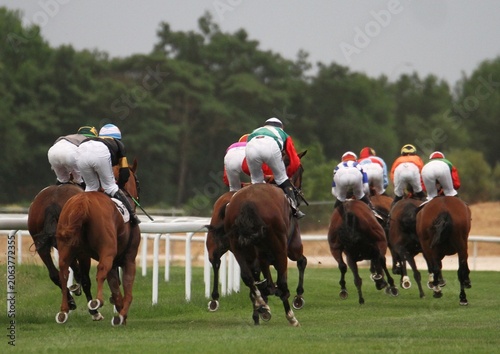 Photos Galope pelotón caballos purasangre en grupo hipódromo turf velocidad y emoción c