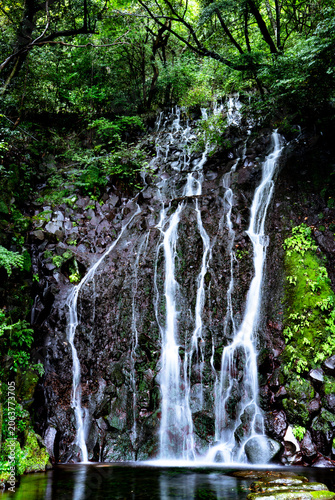 Hien Falls Surrounded by Lush Forest in Hakone, Japan